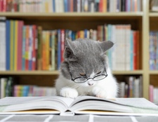 TheReadingCat