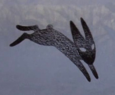 Dave Roberts