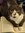 Cait