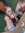 Gracey