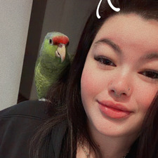 Jordyy