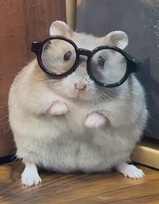 Squeak Me