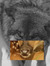 Racoonz