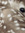 jupitersaturn_