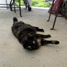 Emmie