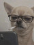 Gavin W...
