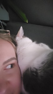 Katri