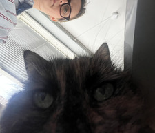 Pia