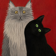 Liz Witte