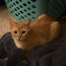 abby