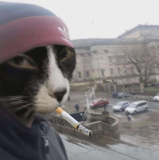 mal
