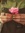 Nasim