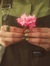 Nasim