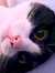 Lidia M...