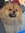 Pomerania Inutil