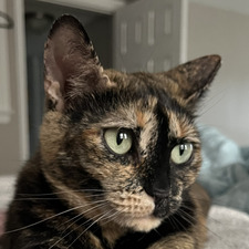 Elizabeth