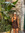 member photo member photo