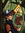 member photo member photo