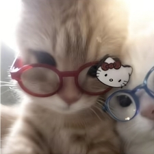 mena ♡