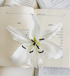 زَهـراء