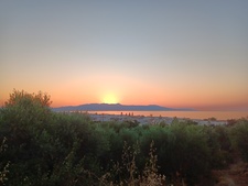 Venla