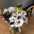 Daisy
