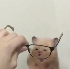 Chesca