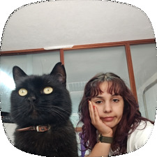 Sarinha 