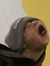 Ezra Ng...