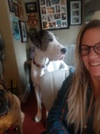 Judi