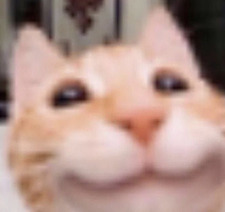 AJ
