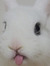 ayd ꪆৎ