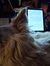 Bookworm