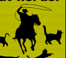 Cat Herder