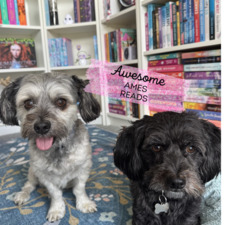 Awesome_Ames