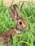 Betsy R...