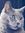 member photo member photo
