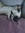Lilly