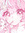 Tay ˚˖𓍢ִ໋❀