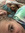 casie