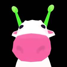 lizard
