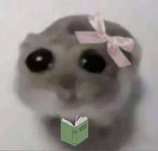 Chiaba 