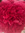 Lieke C
