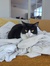 Annalise