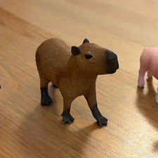 Rotruebchen