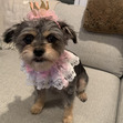 Janie