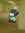 Yasashi