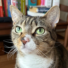 Mimi