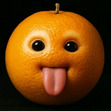 fermonchi