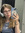 IslaTheBookworm